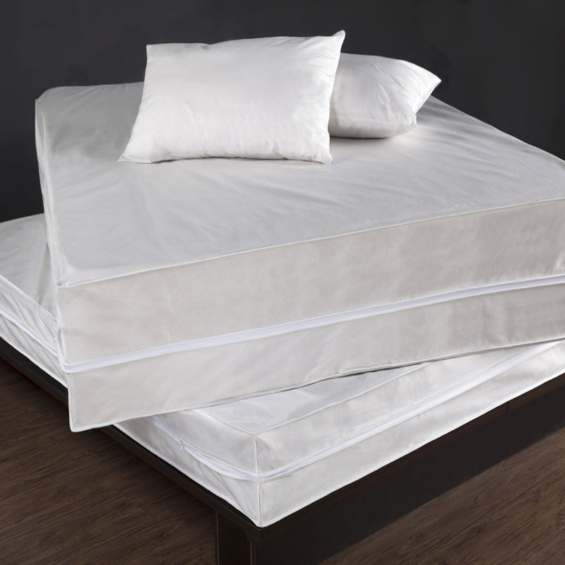 Alwyn Home Bed Bug & Dust Mite Control Hypoallergenic Waterproof
